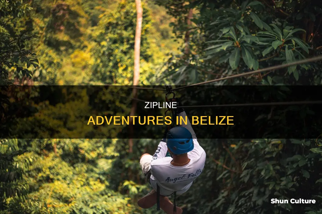 where to zipline in belize