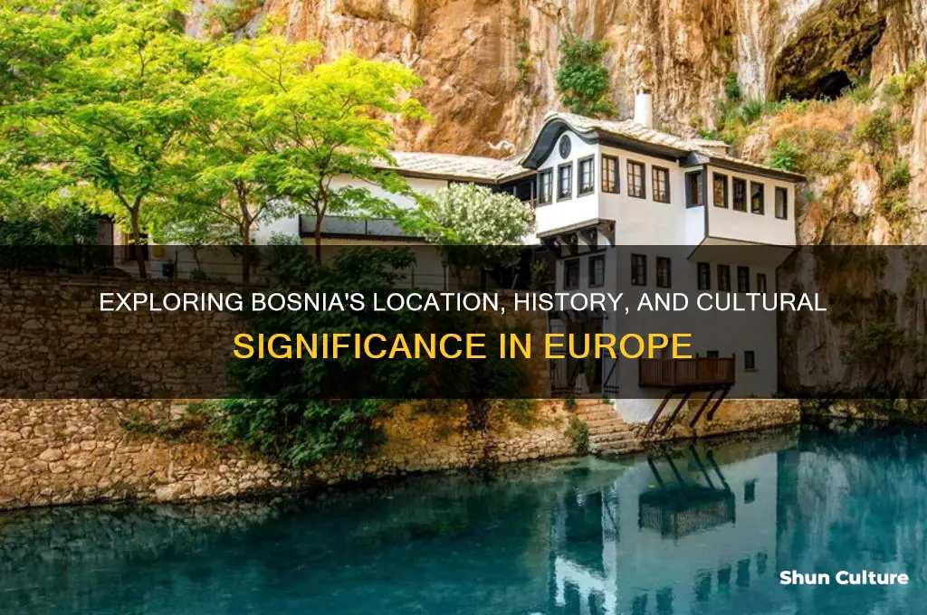 where us bosnia