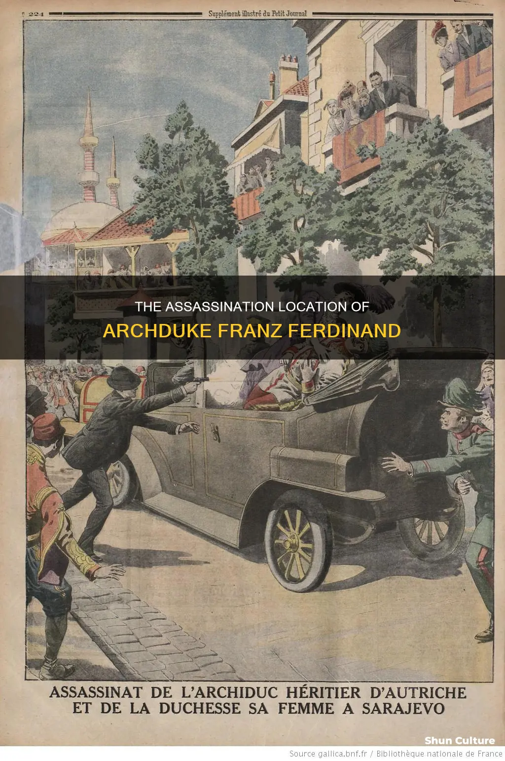 where was archduke franz derfinand of austria assassinated