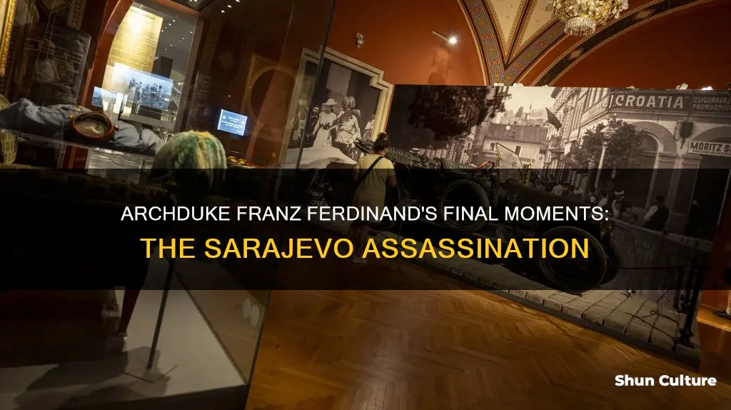 where was archduke franz ferdinand of the austria-hungarian empire assassinated