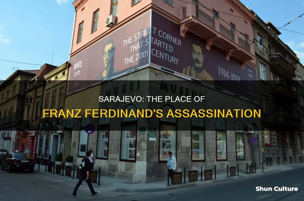 where was archduke franz ferdinand of the austria-hungarian empire assassinated