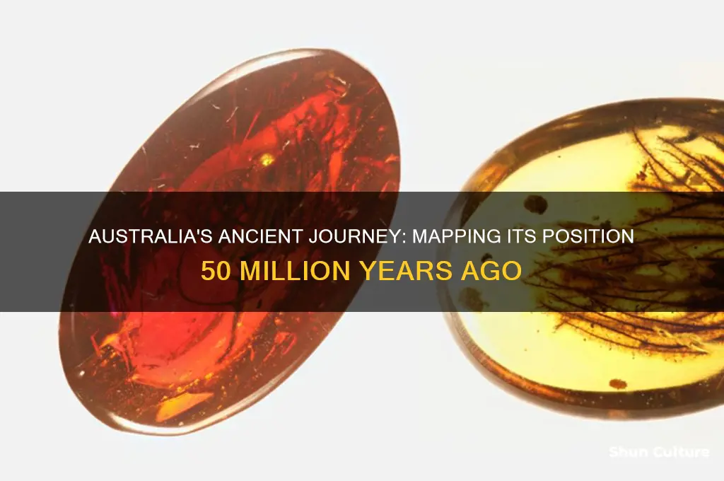 where was australia located 50 million years ago