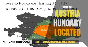 Austria-Hungary's Historical Location: A Complex Geopolitical Past