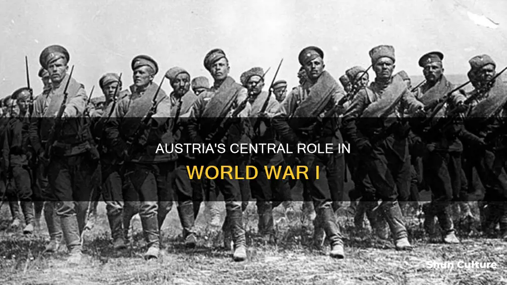 where was austria most involved in ww1