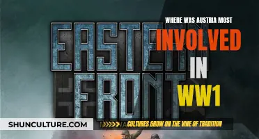 Austria's WWI Involvement: Focus on the Eastern Front