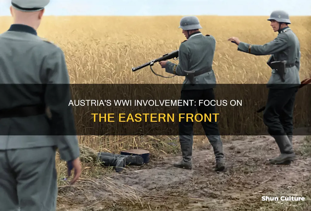 where was austria most involved in ww1