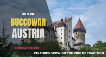 Exploring Buccowar: A Hidden Gem in Austria's Heartland