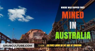 Uncovering Australia's Copper Origins: The First Mining Location Revealed
