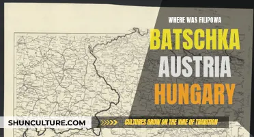 Exploring Filipowa Batschka's Historical Roots in Austria-Hungary