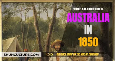 Gold Rush Origins: Australia's 1850s Gold Discovery Locations