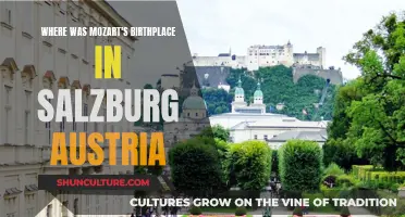 Mozart's Birthplace: Unveiling Salzburg's Musical Legacy in Austria