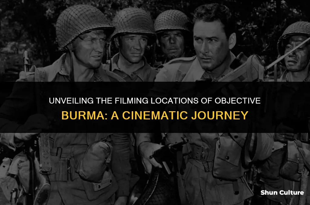 where was objective burma filmed