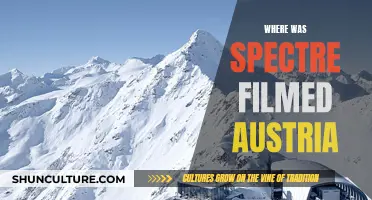 Spectre's Austrian Adventure: A Cinematic Journey