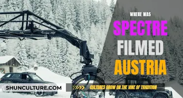 Spectre's Austrian Filming Locations Revealed