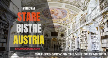 Stare Bistre's Austrian Adventure: A Journey Through Time and Culture