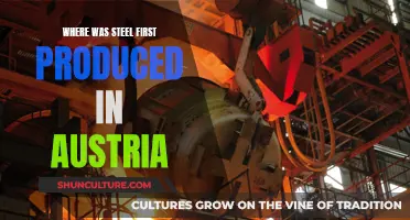 Steel's Austrian Origins: Where It All Began