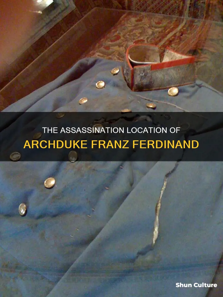 where was the archduke of austria hungary assassinated