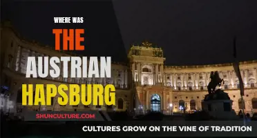 The Austrian Habsburgs: A Journey Through Time and Space