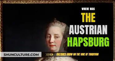 The Austrian Habsburgs: A Historical Perspective on Their Reign