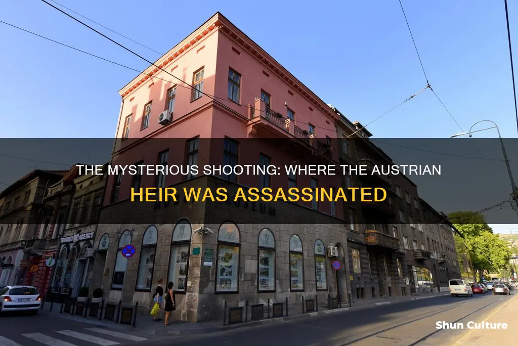 where was the austrian heir shot