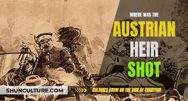 The Austrian Heir's Tragic Shooting: Where Did It Happen?