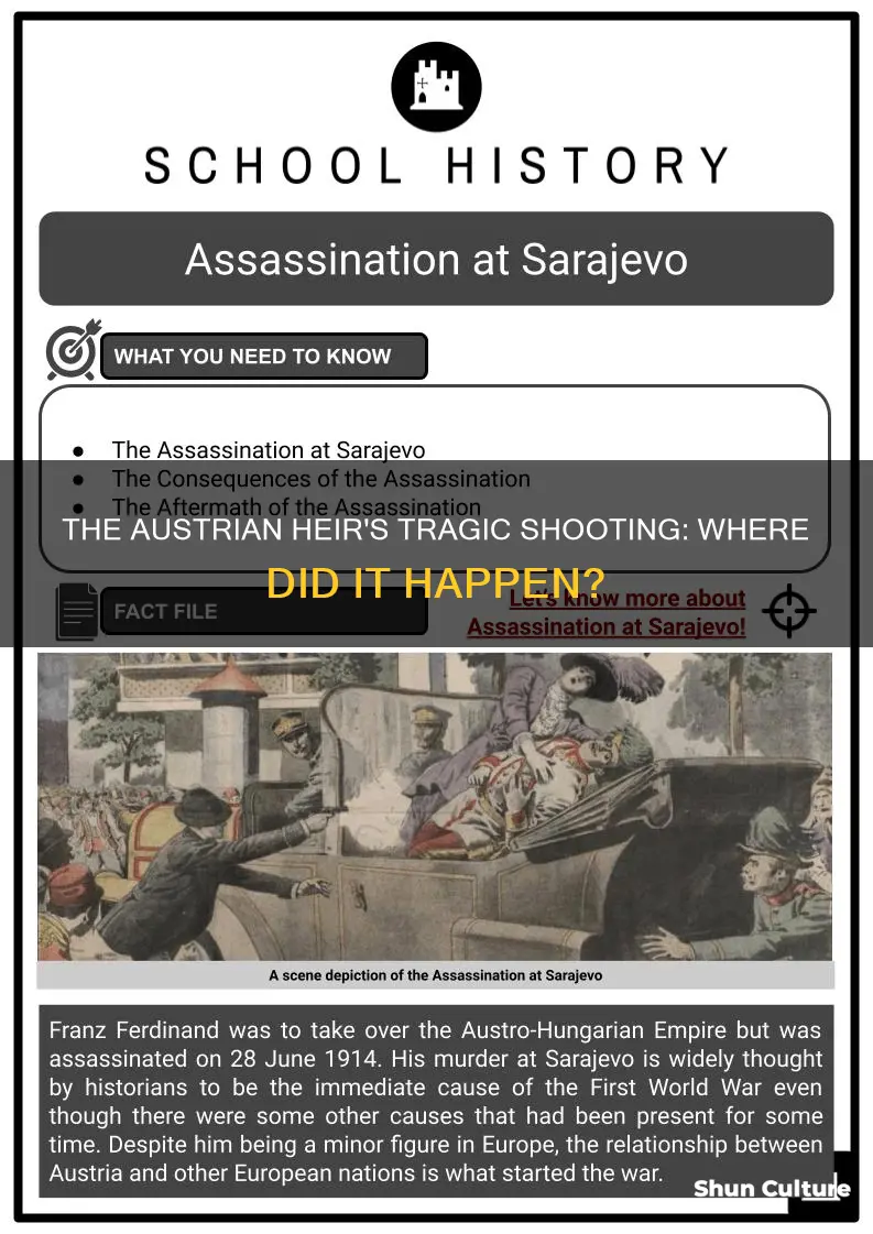 where was the austrian heir shot