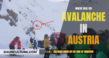 Avalanche Disaster Zones in Austria: Where and When