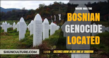 The Bosnian Genocide: Uncovering the Heartbreaking Location of Atrocities