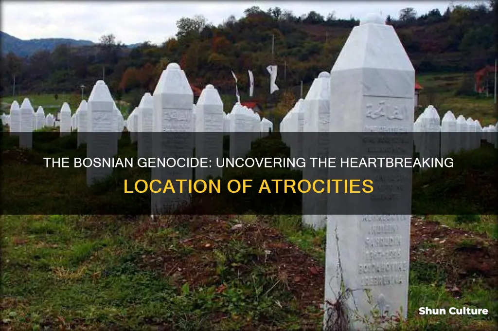 where was the bosnian genocide located
