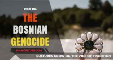 The Bosnian Genocide: Uncovering the Locations of a Dark History