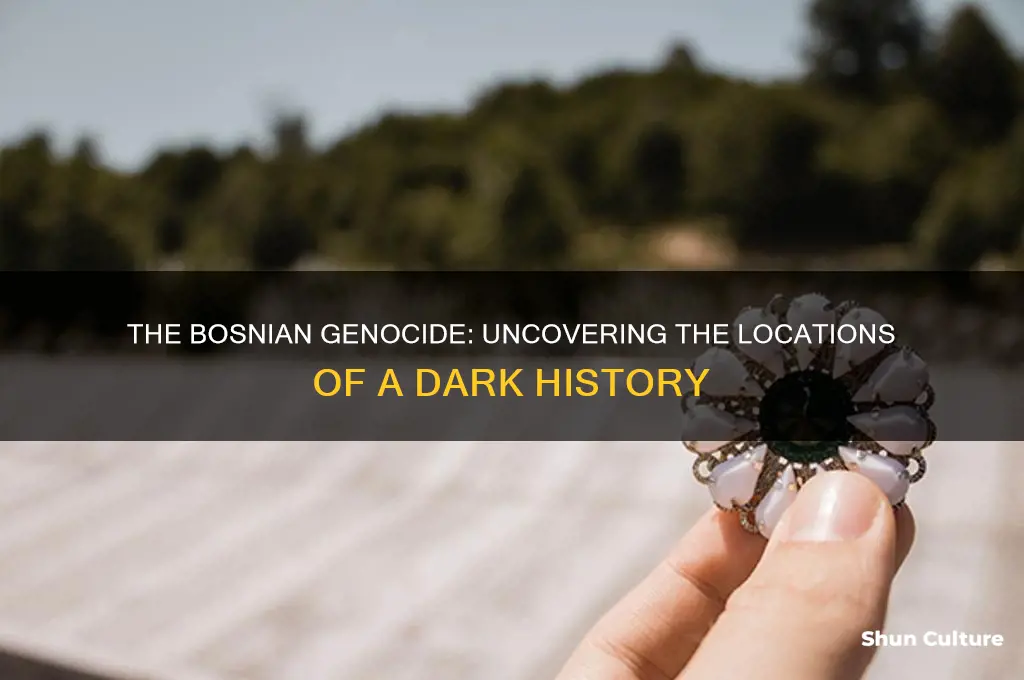 where was the bosnian genocide