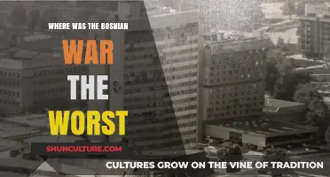 The Bosnian War's Most Devastating Fronts: A Regional Analysis