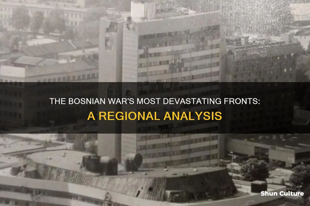 where was the bosnian war the worst