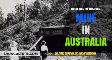 Unearthing History: Australia's First Coal Mine Location Revealed