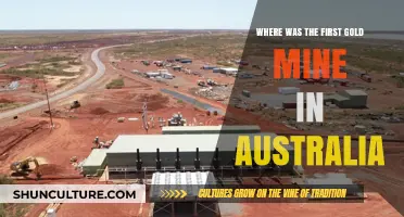Unearthing History: Australia's First Gold Mine Location Revealed