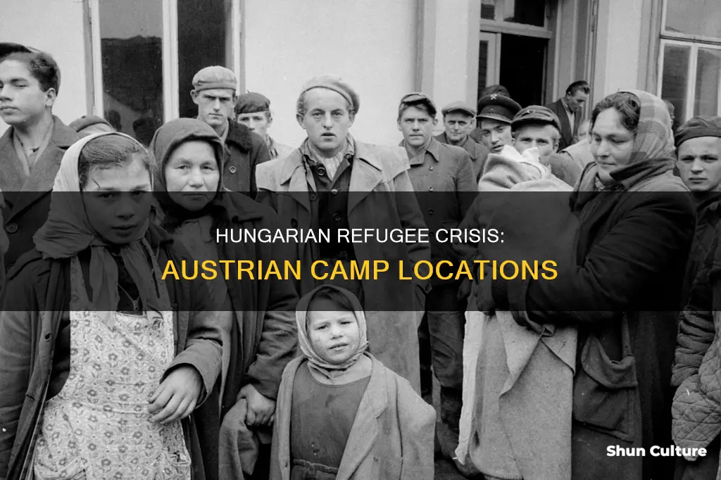 where was the hungarian refugee camp in austria