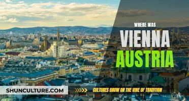 Vienna's Historical Roots: Exploring Austria's Capital Origins