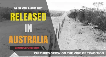 The Surprising Origins of Australia's Rabbit Invasion: A Historical Journey