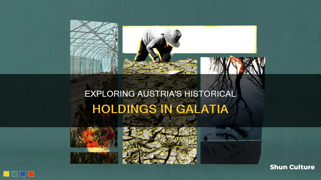 where were the austrian holdings in galatia
