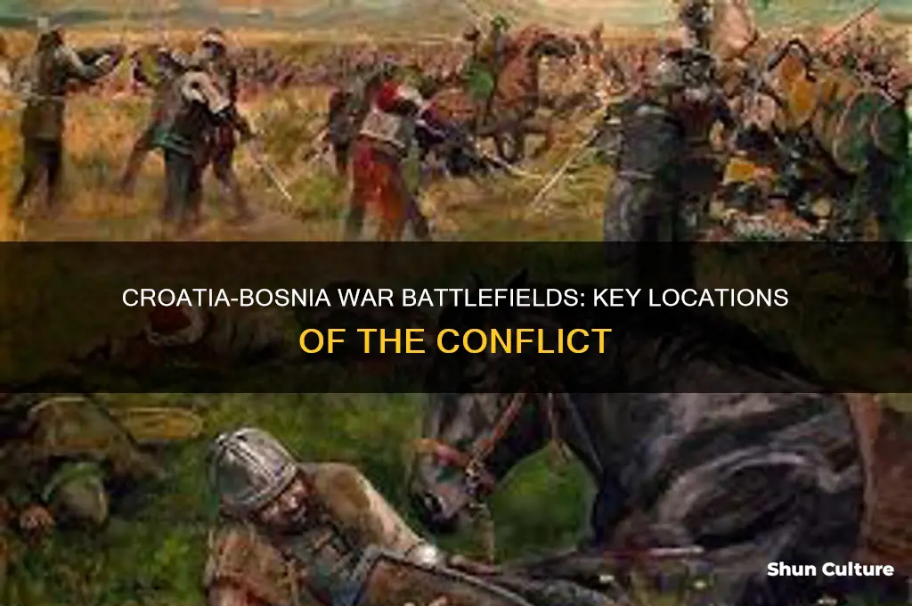 where were the croatia bosnia wars fought
