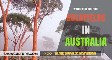 Australia's First Goldfields: Uncovering the Origins of the Gold Rush