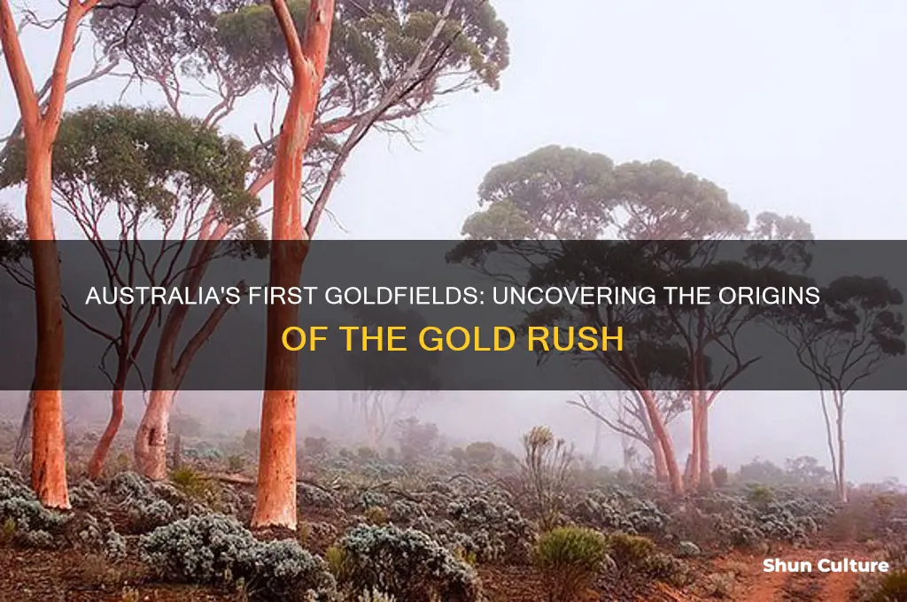 where were the first goldfields in australia