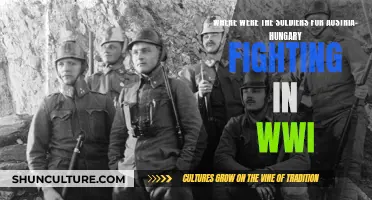 Austria-Hungary's Soldiers: WWI Battlefield Locations