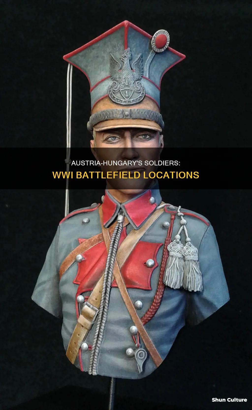 where were the soldiers for austria-hungary fighting in wwi