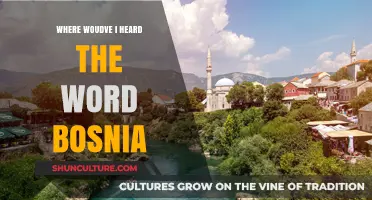 Bosnia Rings a Bell? Where You Might Have Heard It Before