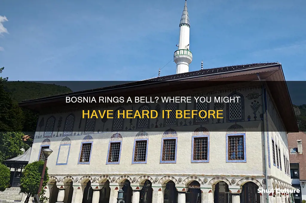 where woudve I heard the word bosnia