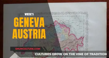 Geneva and Austria: A Tale of Two Cities