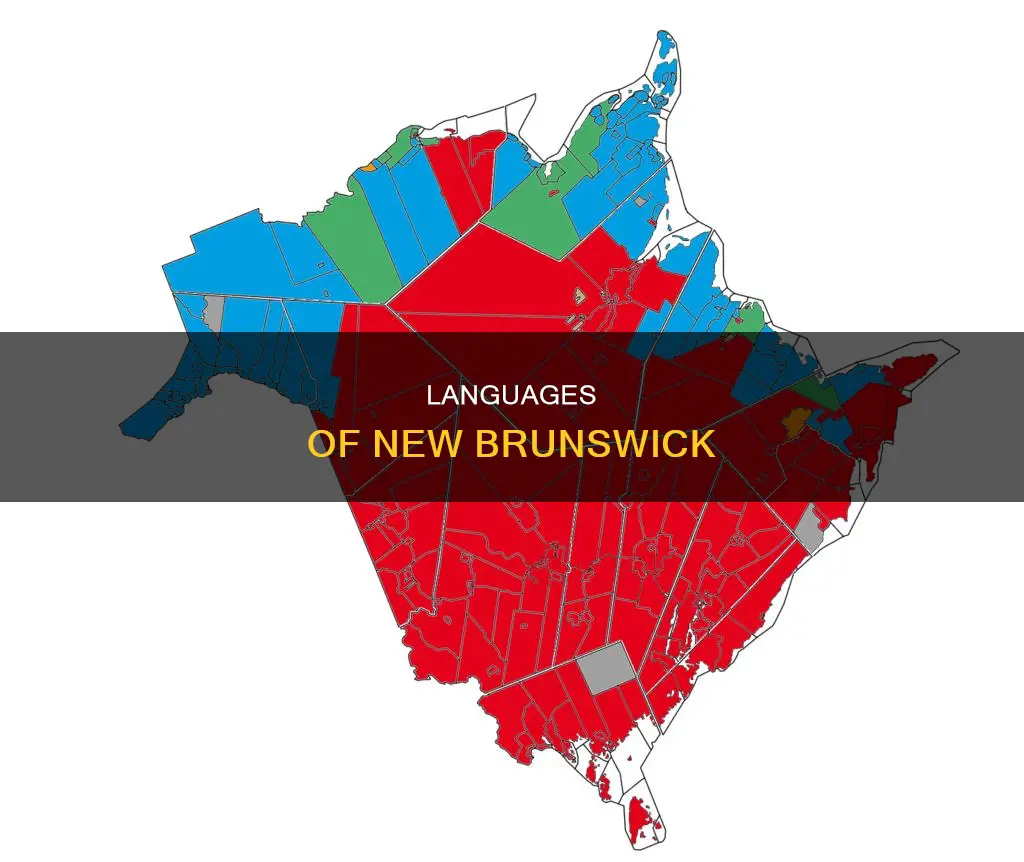 which 2 languages are offically used in new brunswick