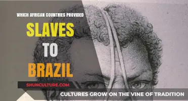 African Roots of Brazil's Slave Trade: Key Nations Revealed