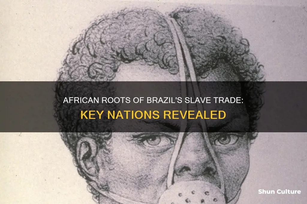 which african countries provided slaves to brazil